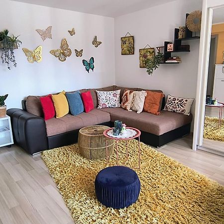Sweet Butterflies Residence Braşov Eksteriør billede